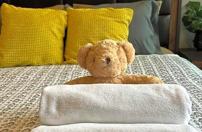 Pompom Home.